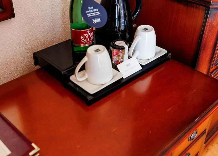 萨沃伊酒店 4* 奥帕提亚