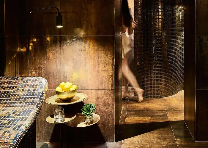 萨沃伊酒店 酒店 4*